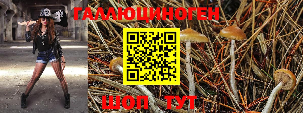 цена наркотик  Вход с VPN  Саратов  Галлюциногенные грибы Magic Shrooms 
